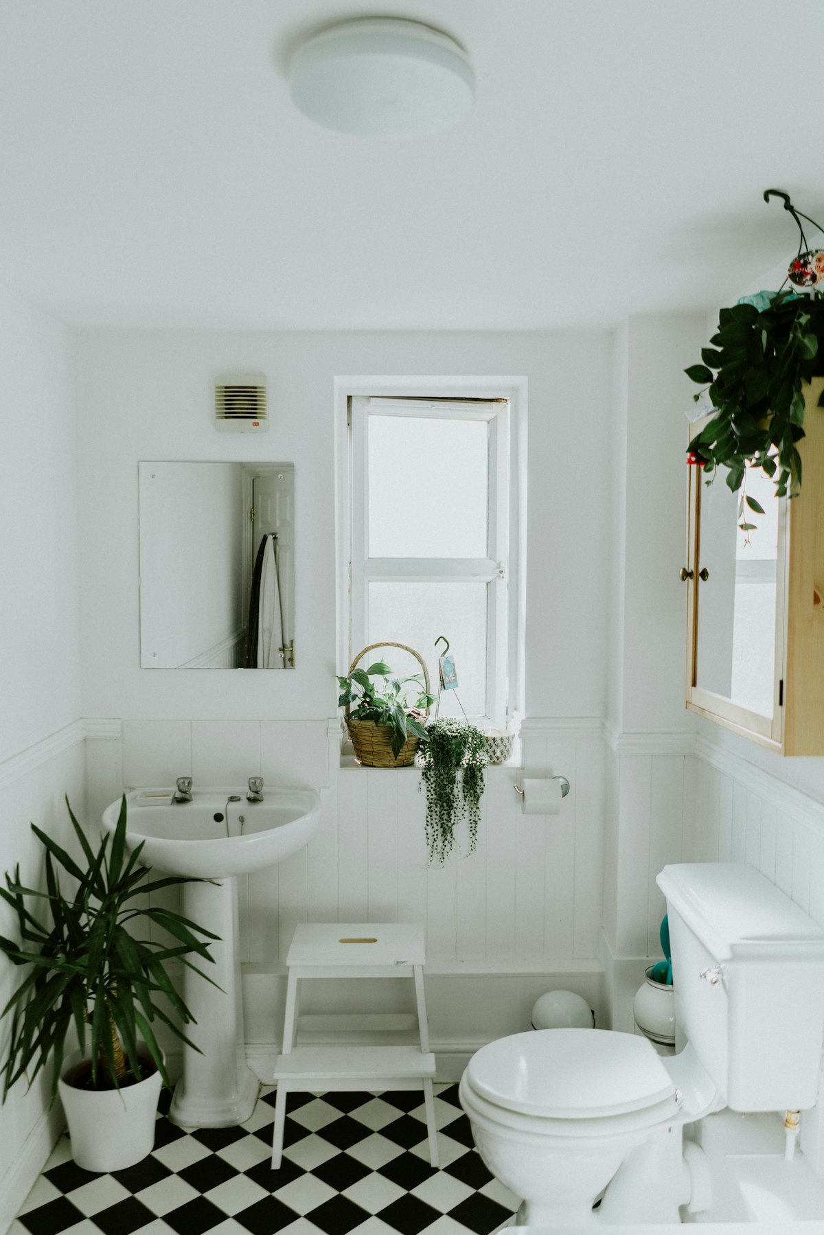 Bathroom vanity